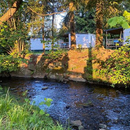 S-Chalet Camping Mit Comfort Im Schwarzwald Steinach  Bagian luar foto